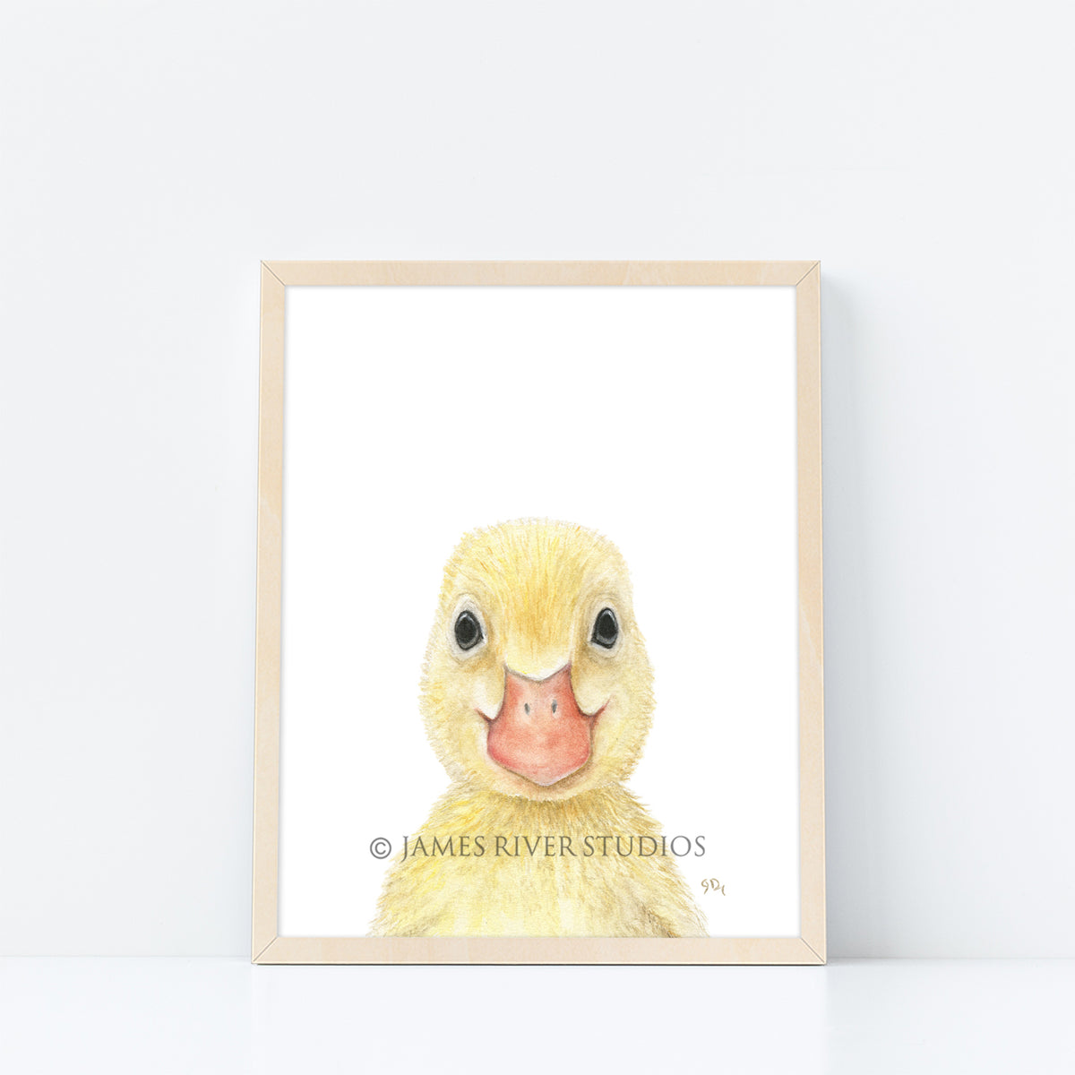 Farm Animal Portrait Print Set 6