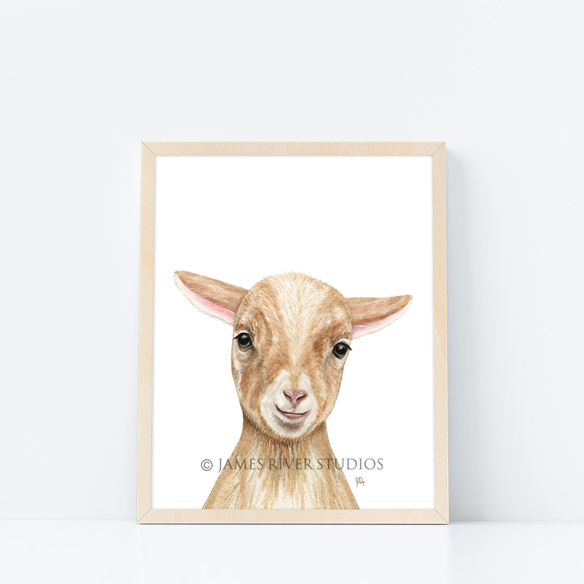 Farm Animal Portrait Print Set 6