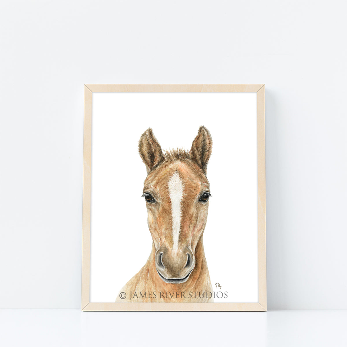 Farm Animal Portrait Print Set 4