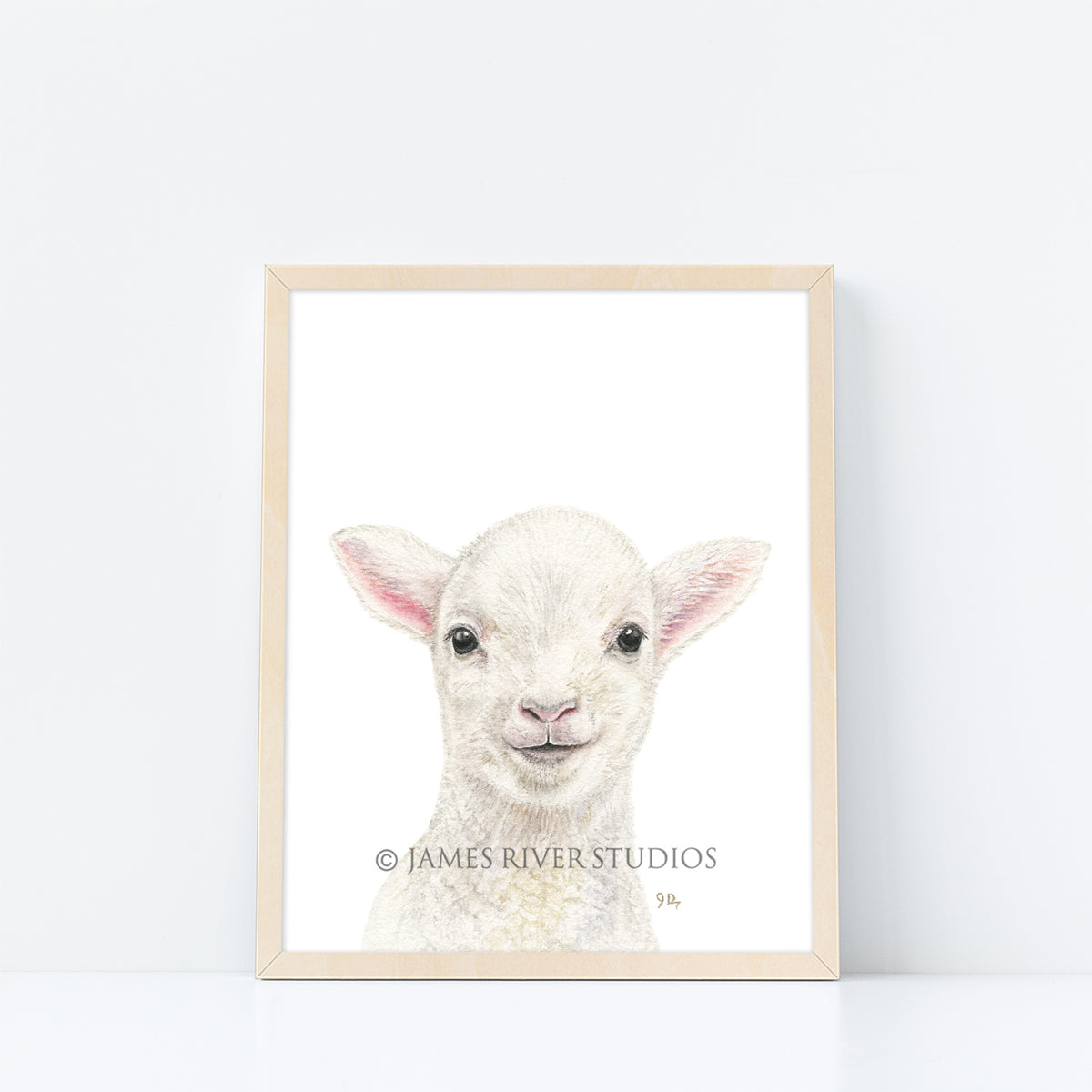Lamb Portrait Print