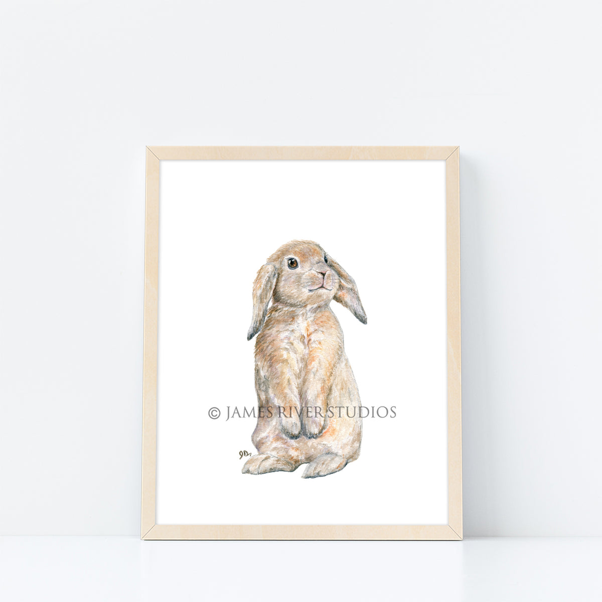 Farm Animal Prints Set of 8