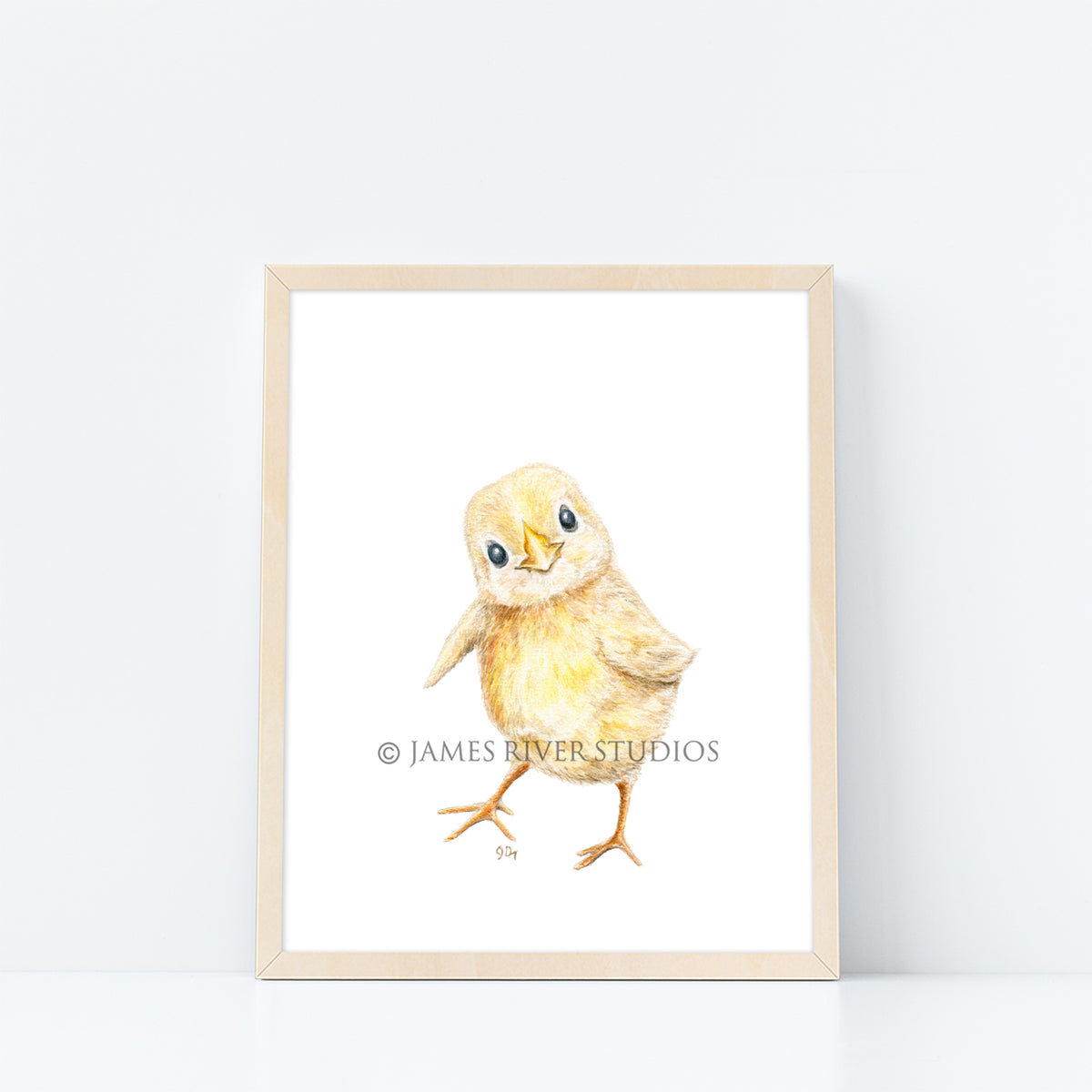 Farm Animal Prints Set of 8