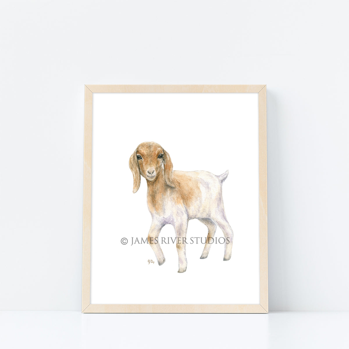 Farm Animal Prints Set of 8