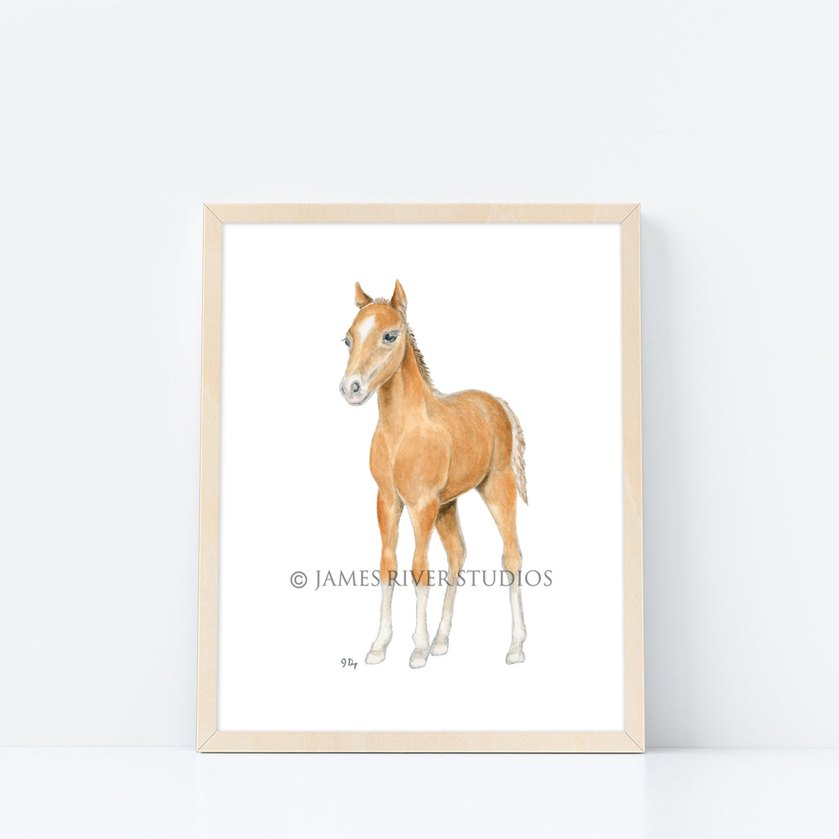 Farm Animal Prints Set of 4