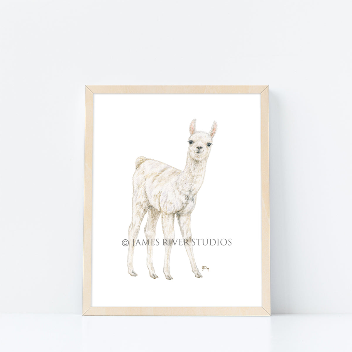 Farm Animal Prints Set of 8