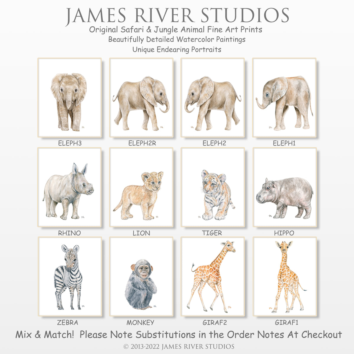 Safari Animal Prints Set of 4