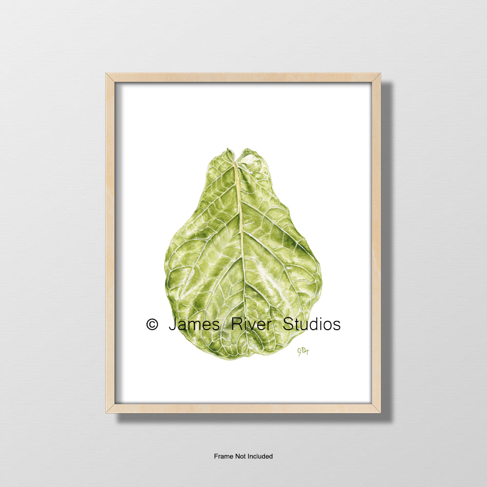 fiddle leaf fig watercolor Fig Leaf Print - Tropical Leaf Art