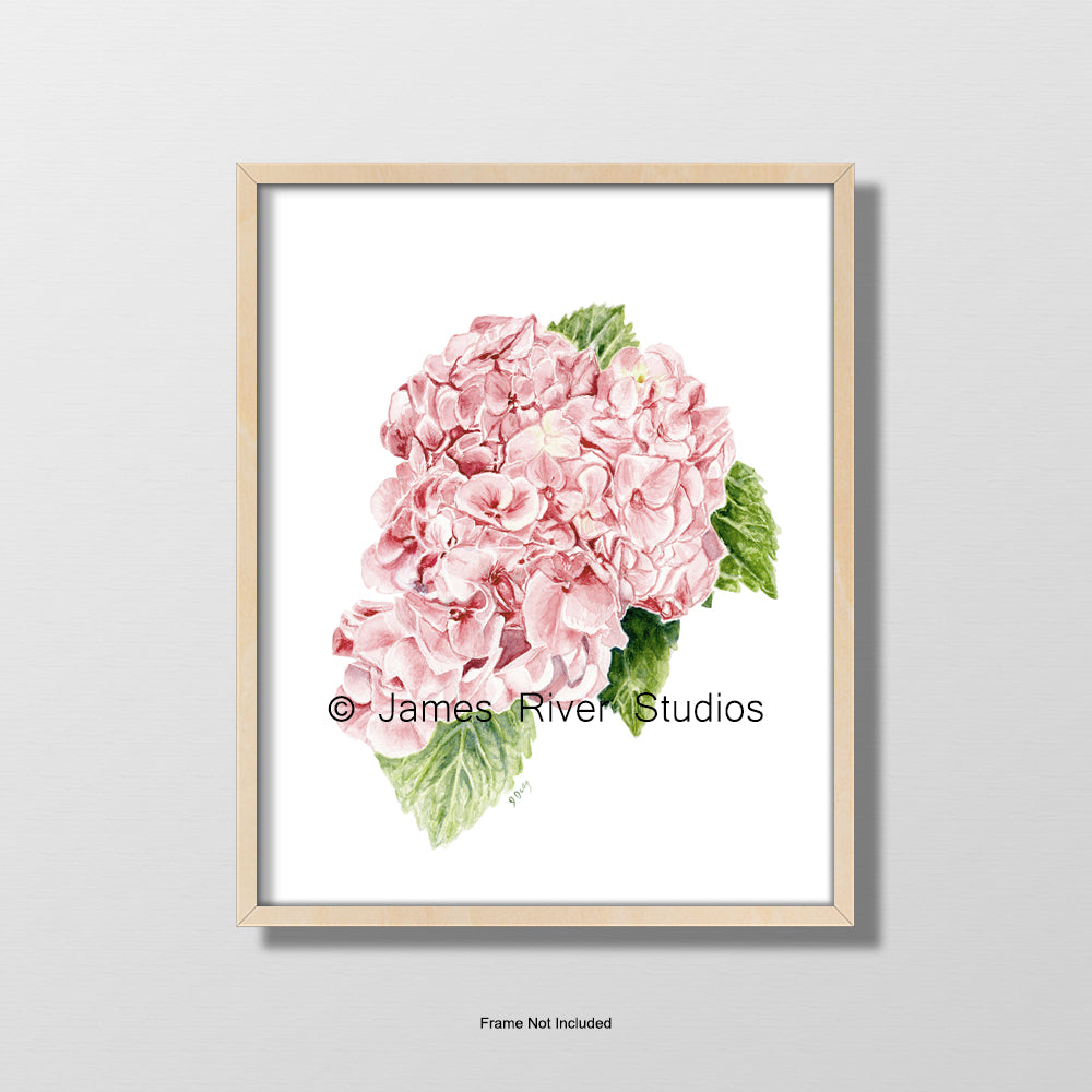 Hydrangea Floral Print