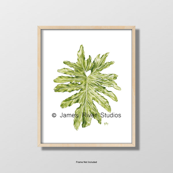 philodendron giclée canvas print Philodendron #1 Print - Tropical Leaf Art
