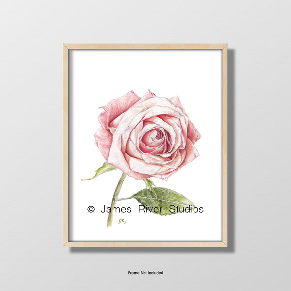 JRSSHOPAMZNSite-Rose1-