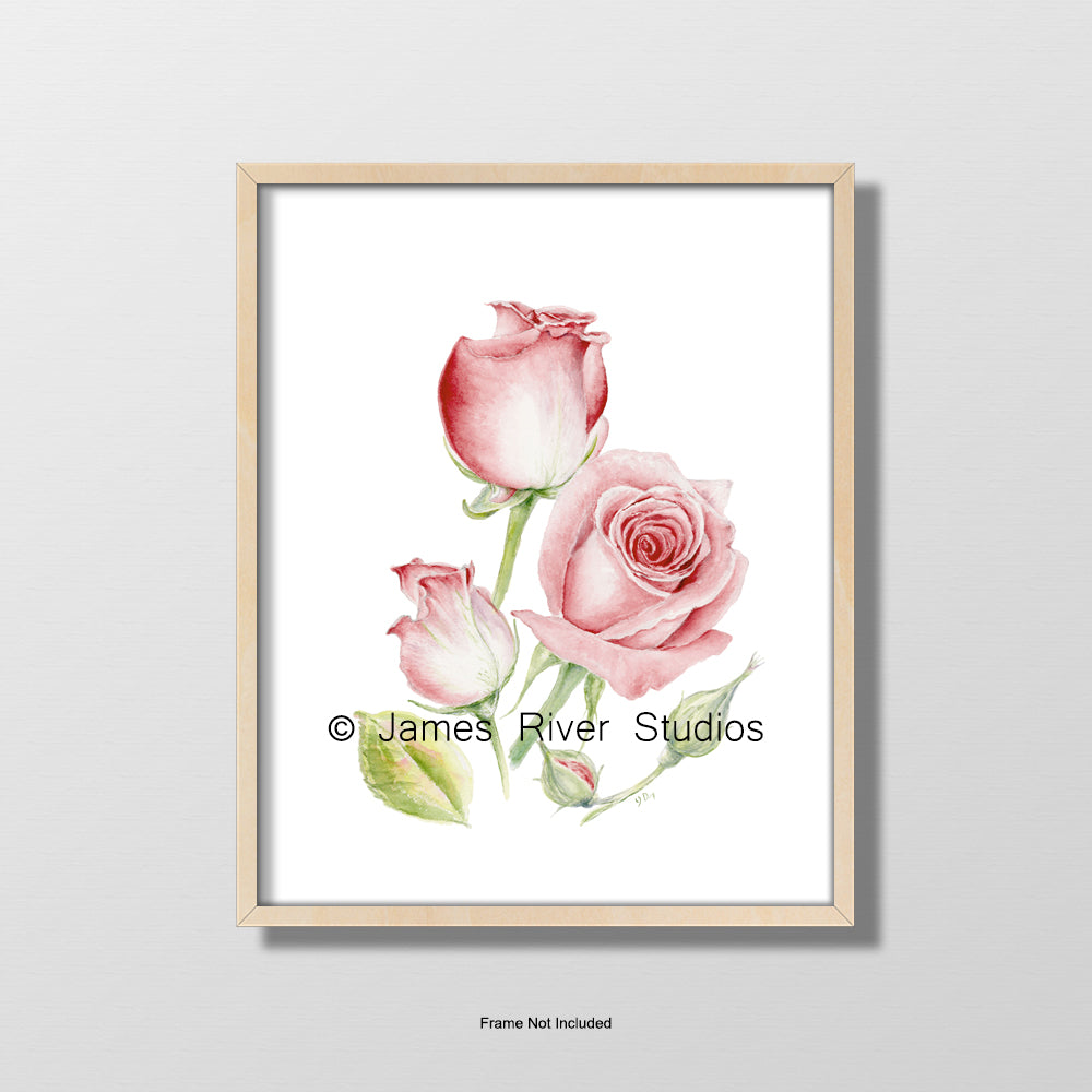 Roses #2 Flower Art Print