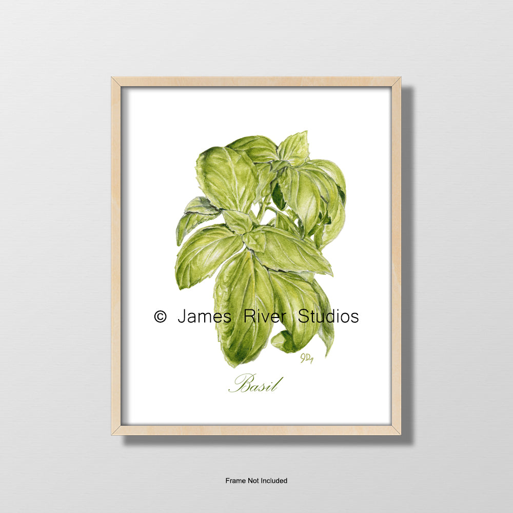 Herb Prints Set of 3