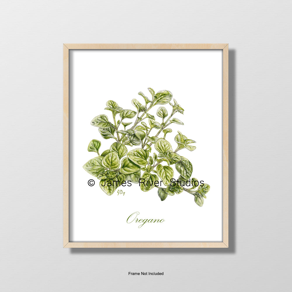 Oregano Print