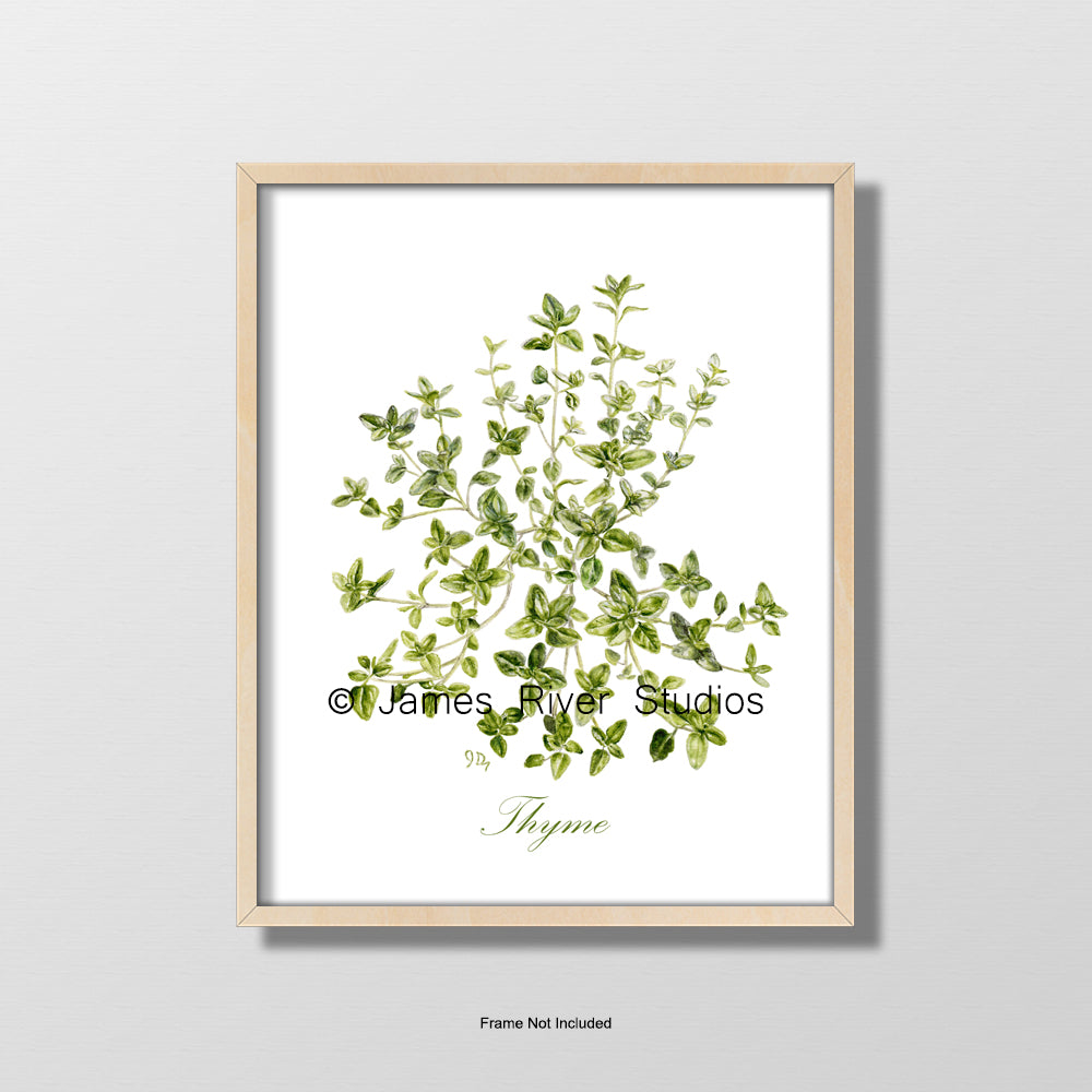 Herb Prints Set of 4