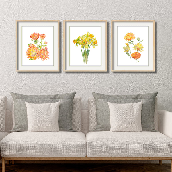 Yellow Flower Prints Set of 3 - Floral Wall Art - James River Studios