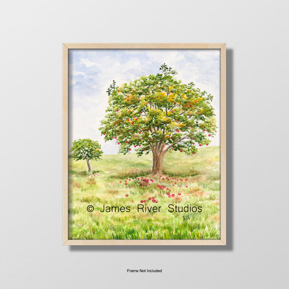 Scenic Country Landscape Prints Set of 3