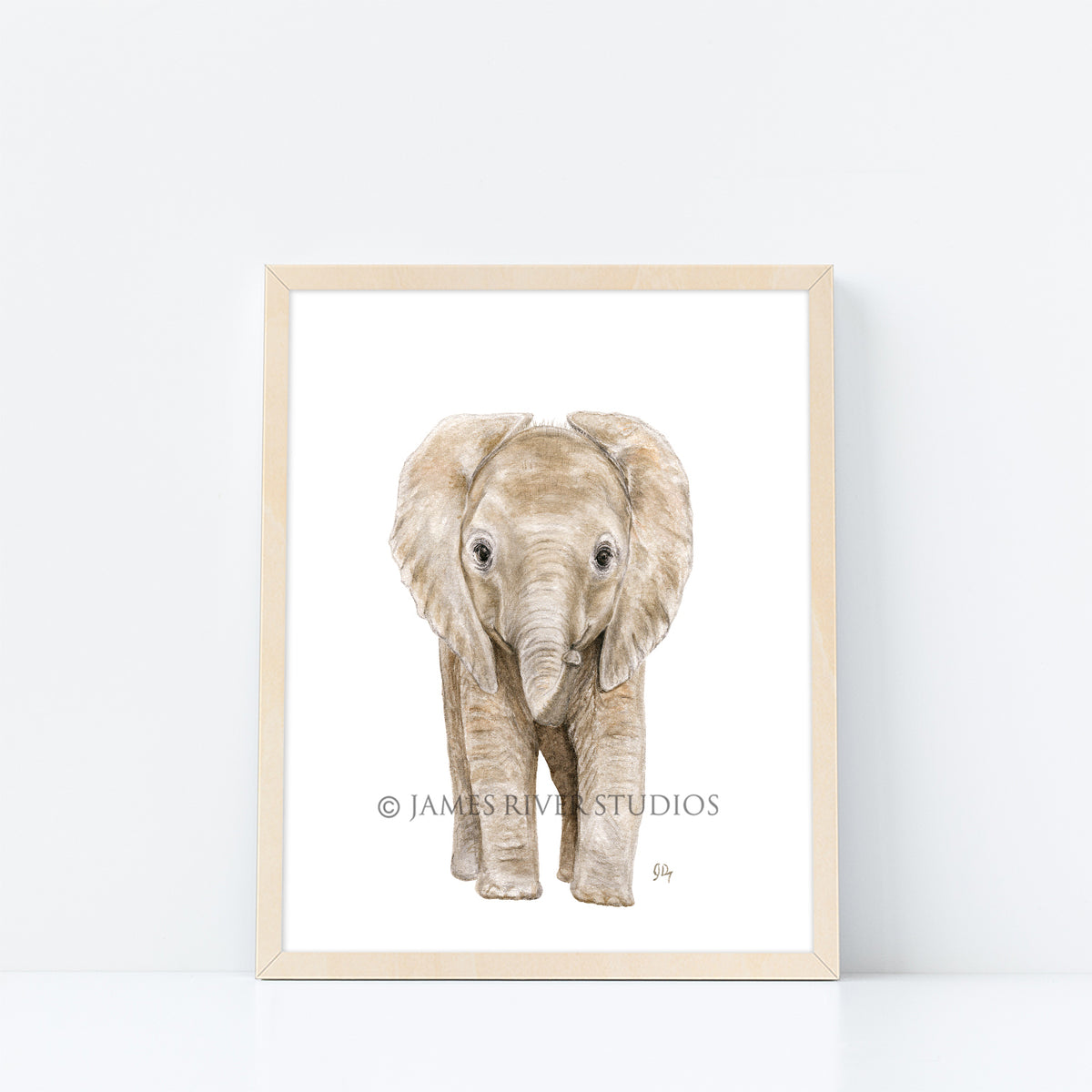 Safari Animal Prints Set of 6