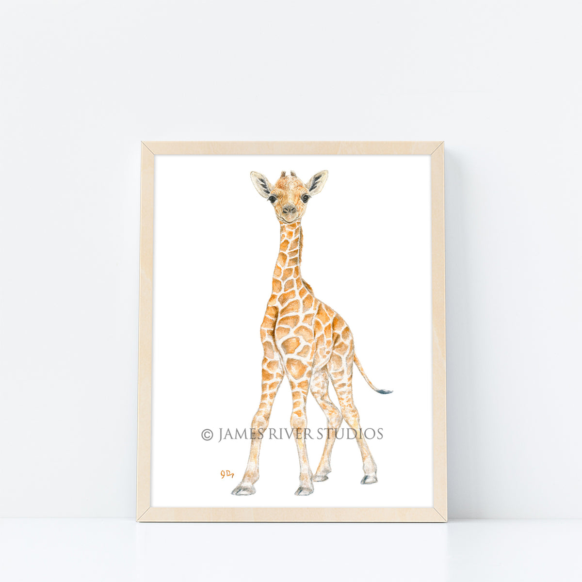 Safari Animal Prints Set of 3