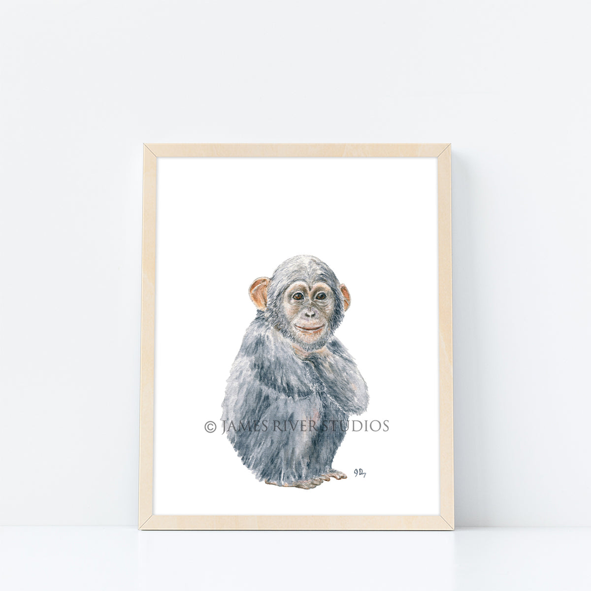 Safari Animal Prints Set of 6