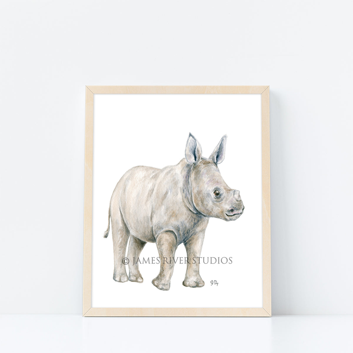 Safari Animal Prints Set of 8