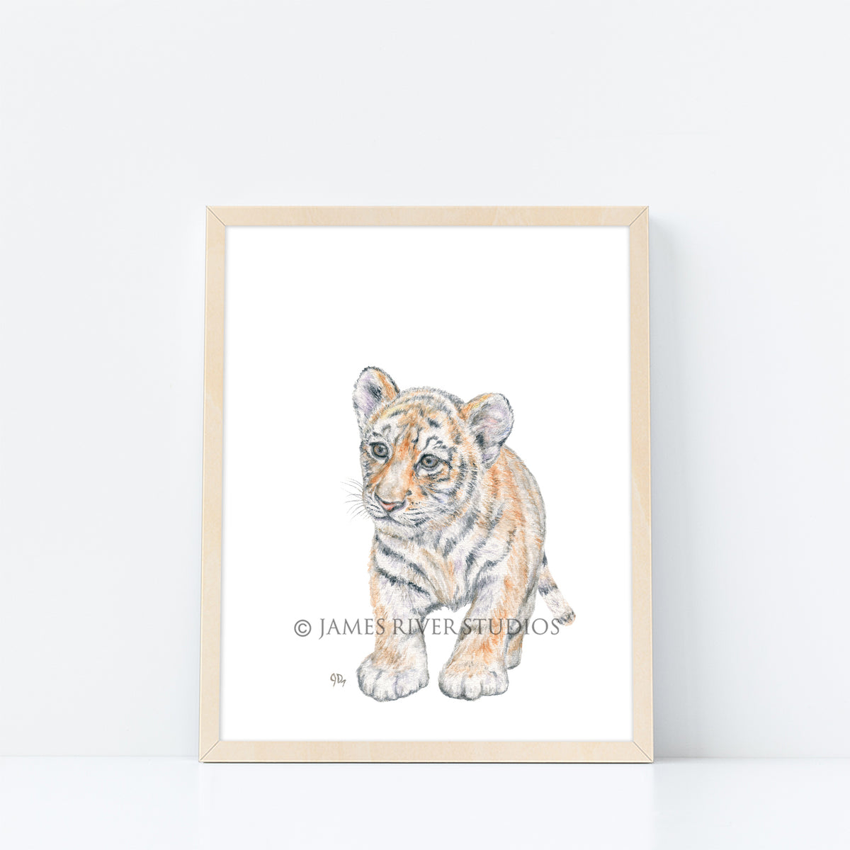 Safari Animal Prints Set of 8