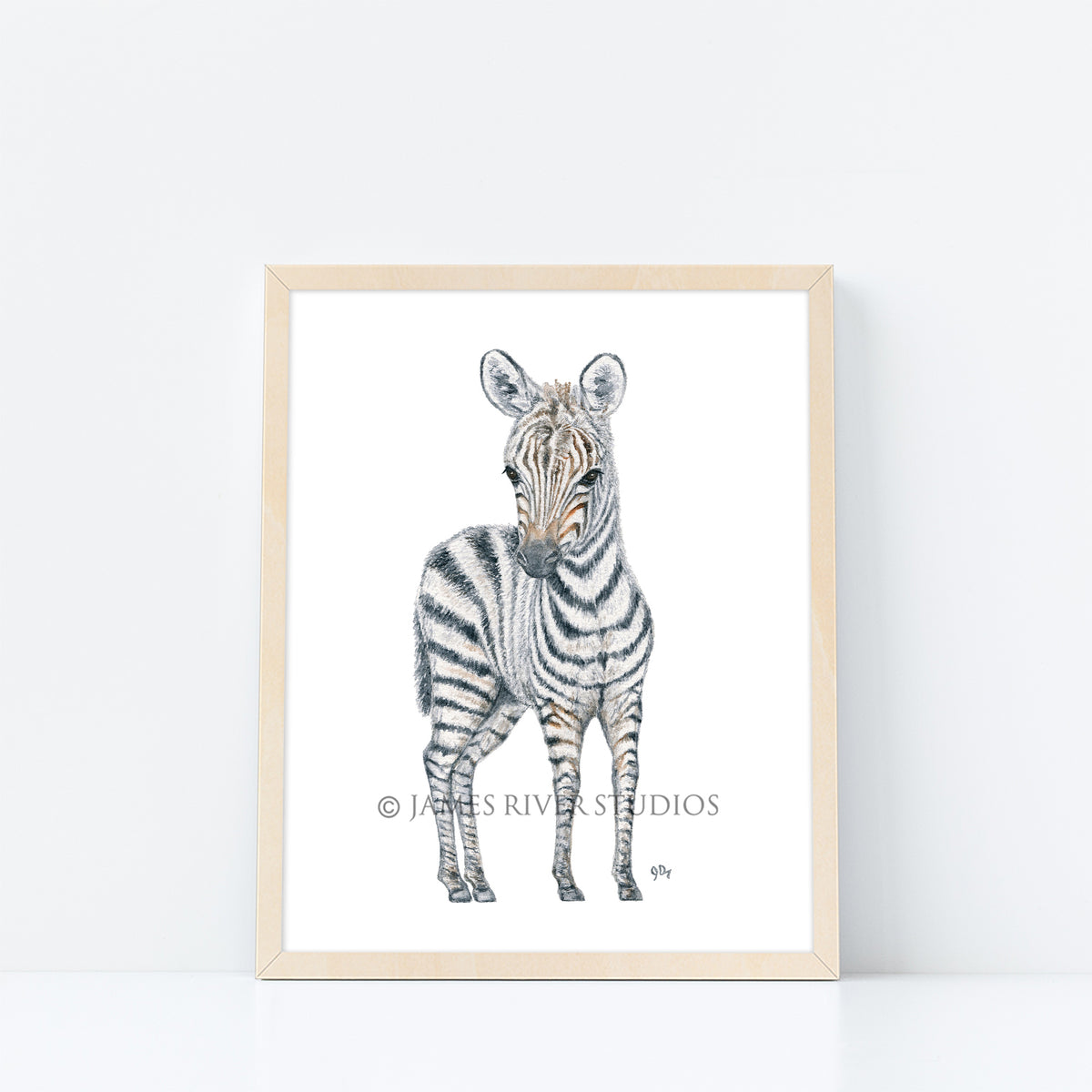 Safari Animal Prints Set of 4