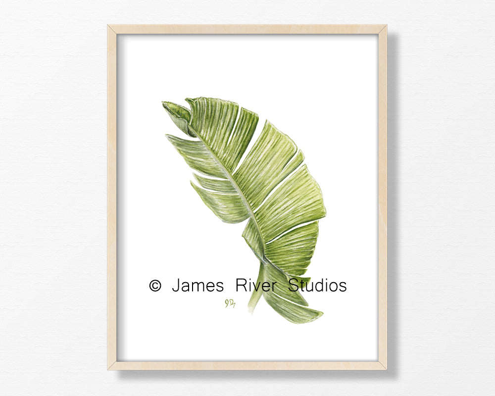 Tropical Leaf Prints Set of 3