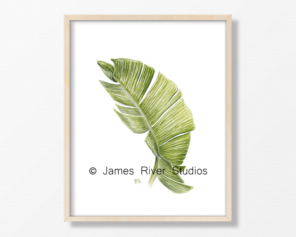 Leaf Print Set of 4 Green Wall Art Tropical Leaves Palm Banana