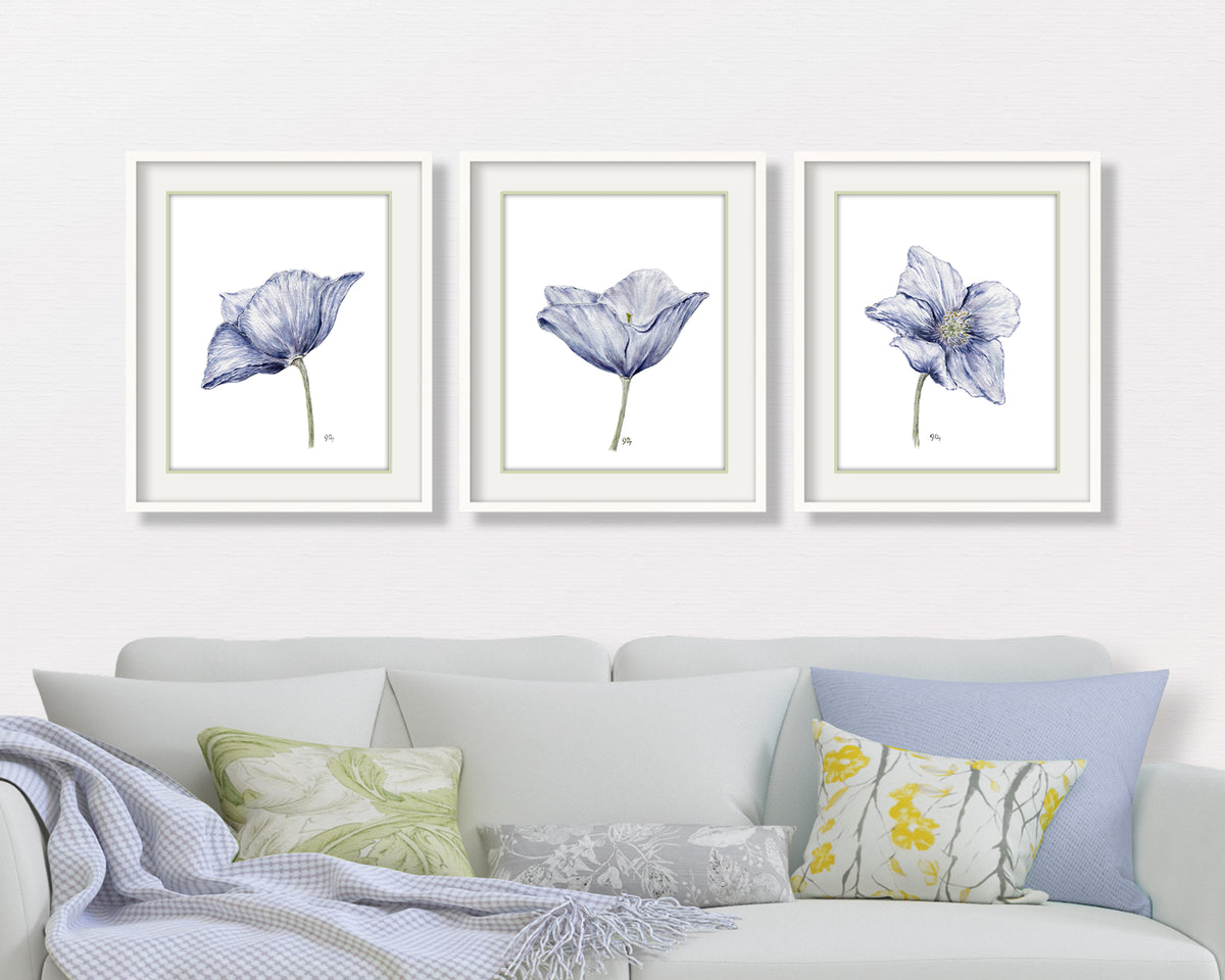 Poppy Prints Set of 3