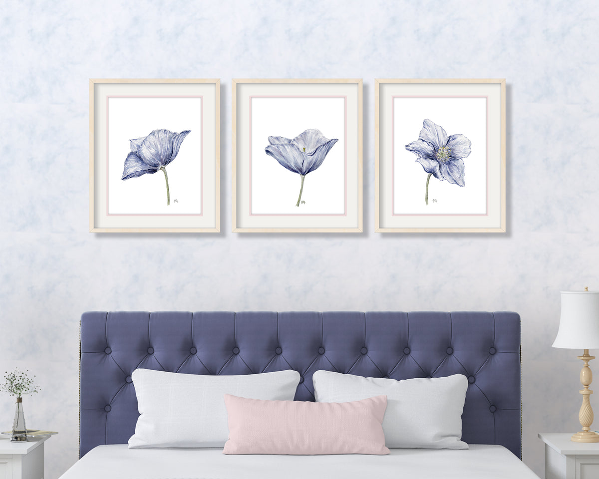 Poppy Prints Set of 3