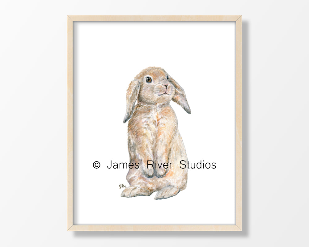 Farm Animal Prints Set of 8