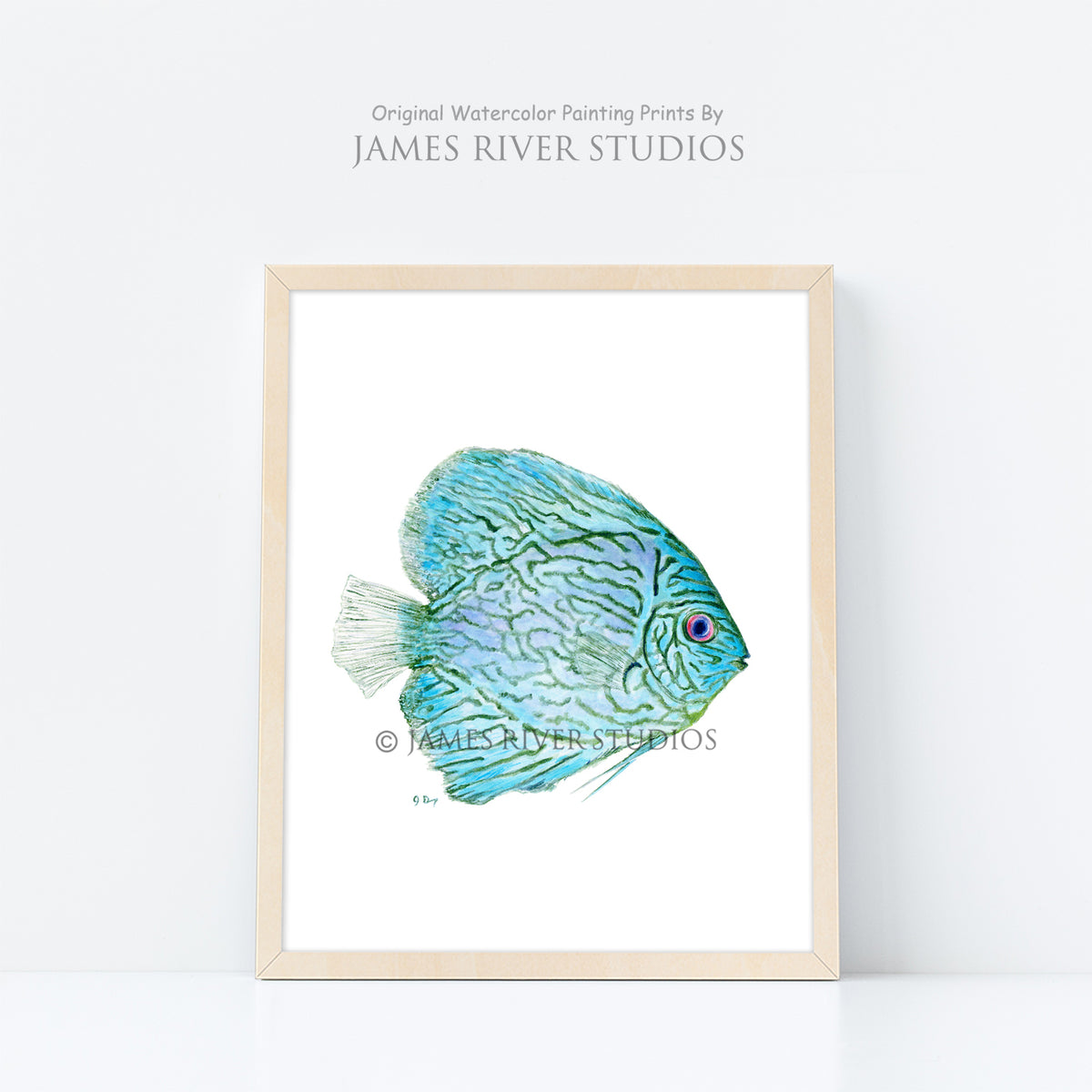 Blue Fish Print