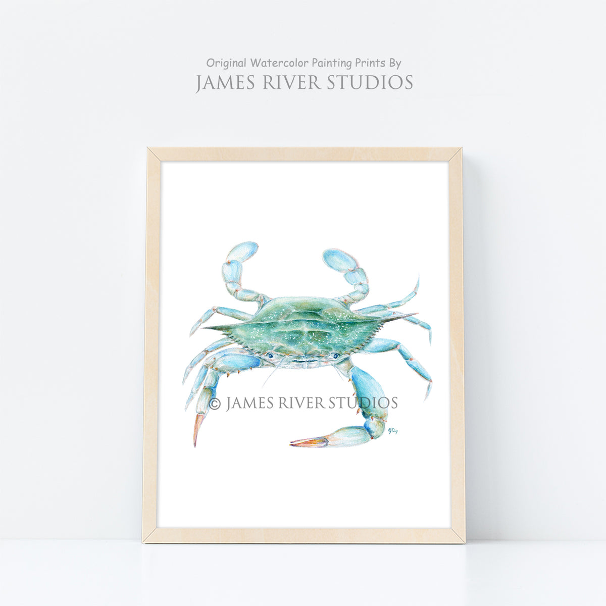 Blue Crab Print
