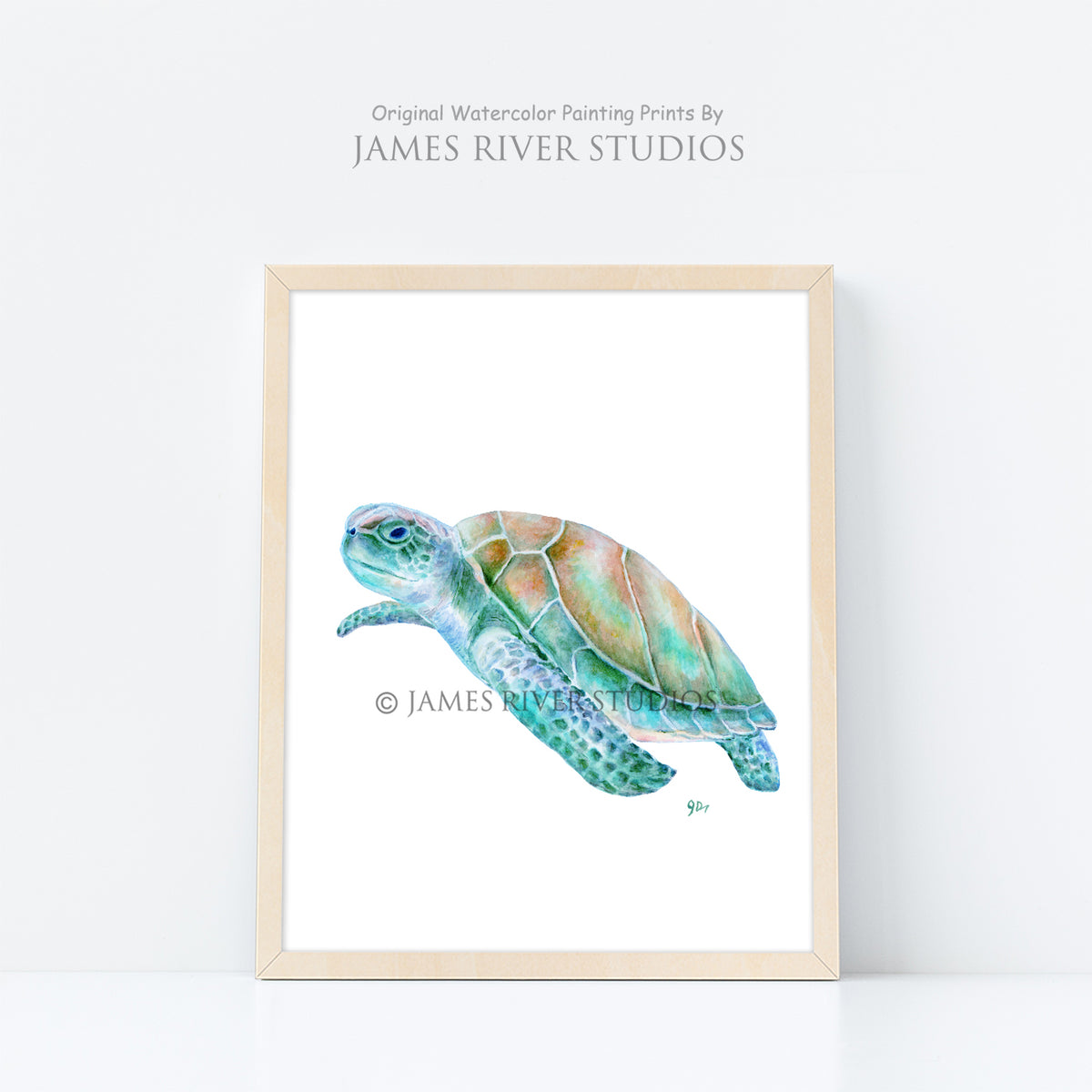 Coastal Beach &amp; Ocean Prints Set of 3