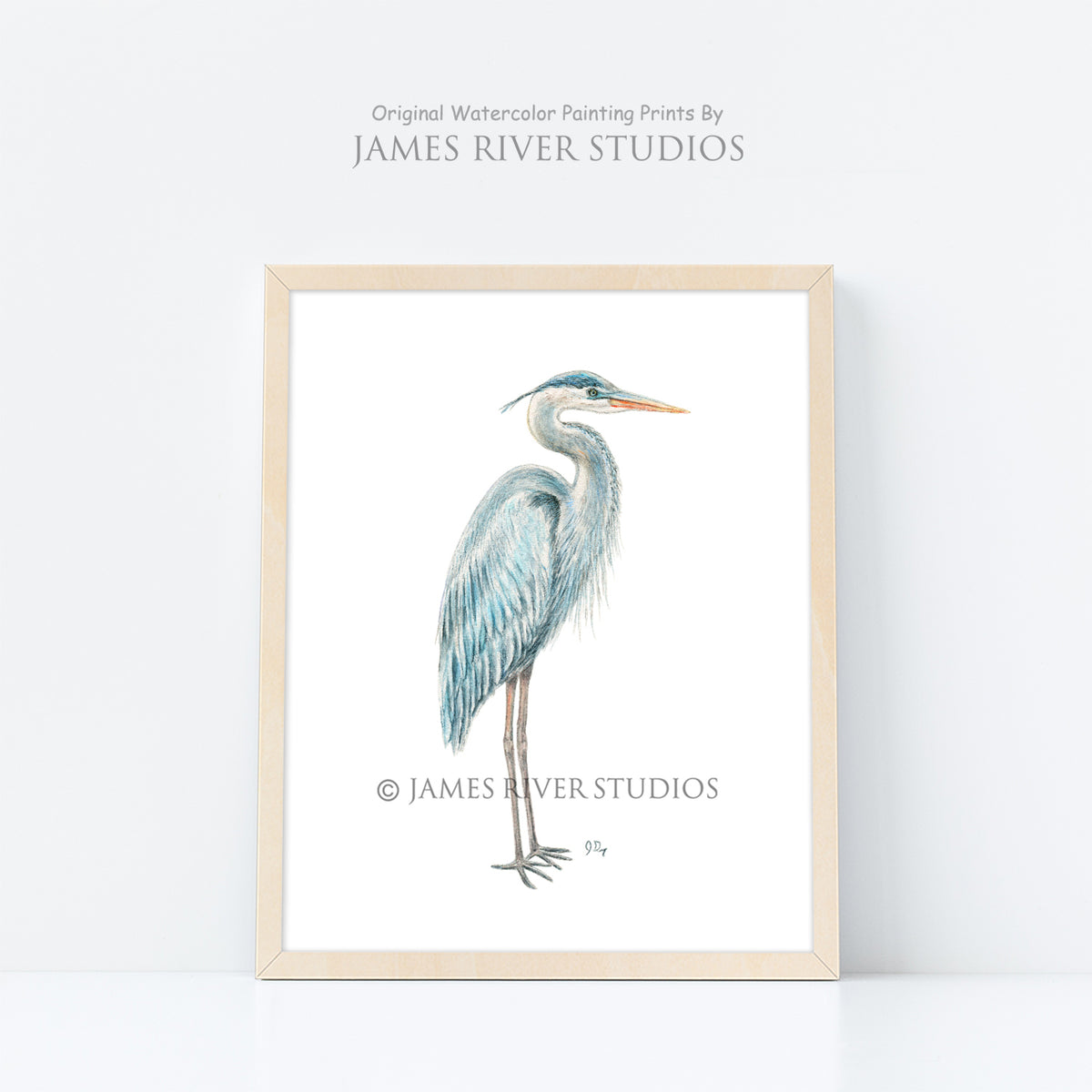 Coastal Beach &amp; Ocean Prints Set of 6