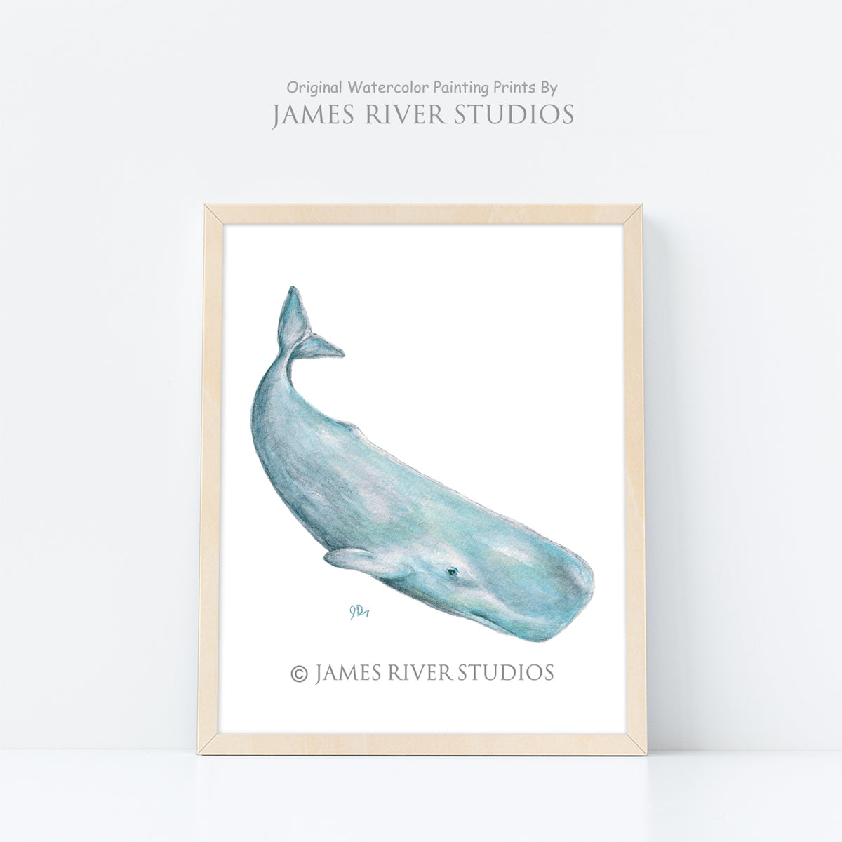 Coastal Beach &amp; Ocean Prints Set of 6