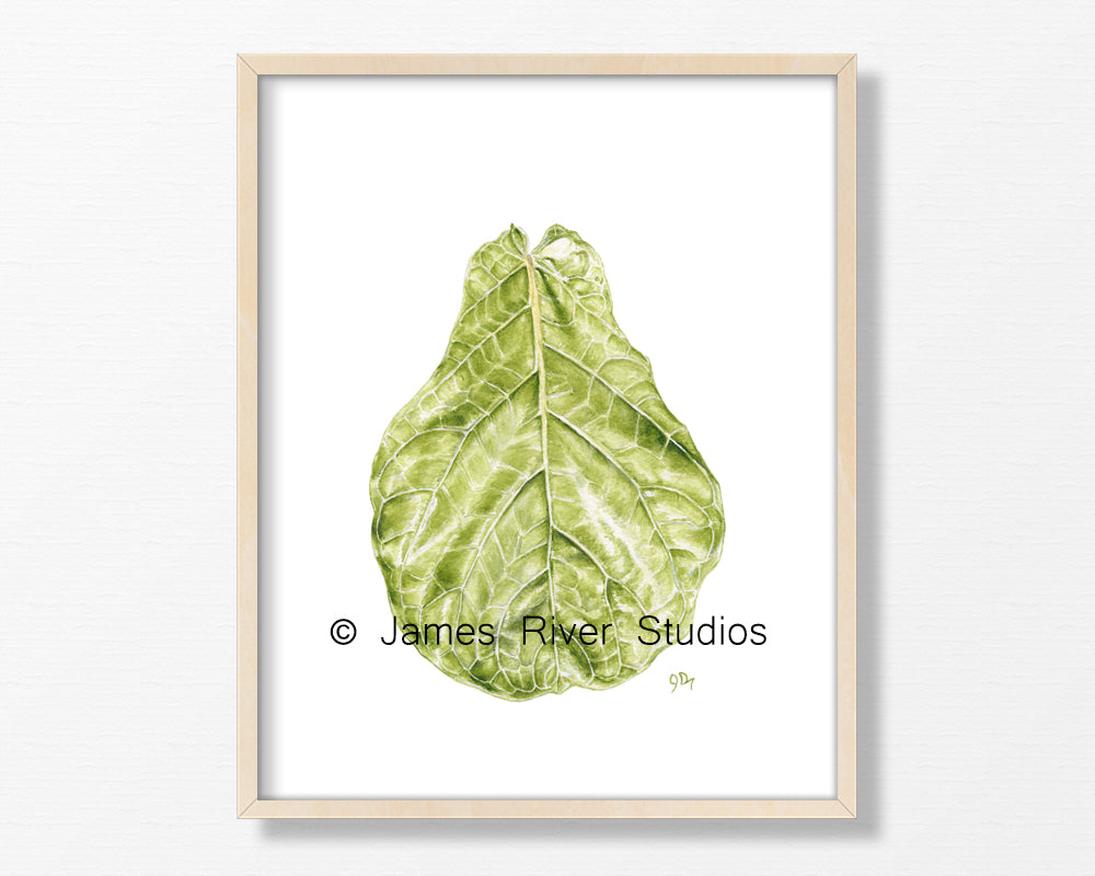 Tropical Leaf Prints Set of 6