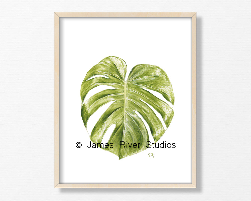 Tropical Leaves Print Set of 3