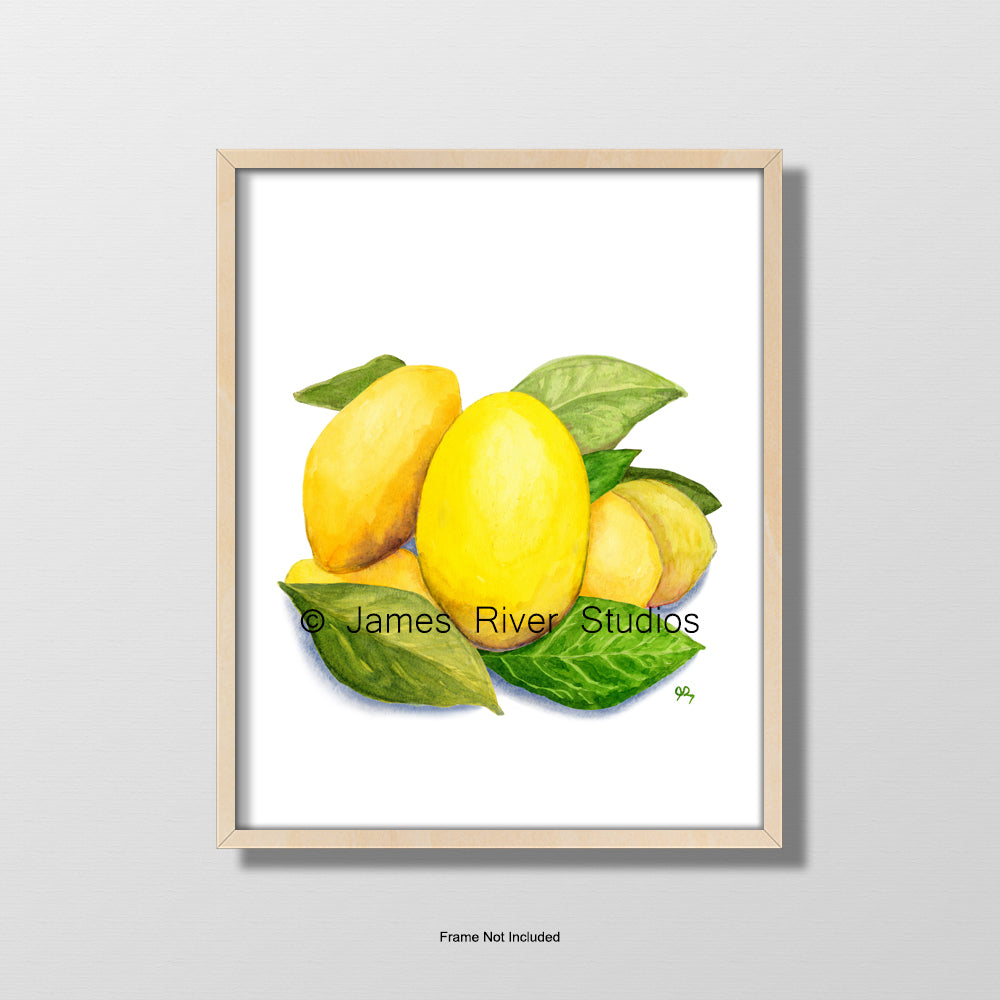 Fruit and Vegetable Prints Set of 6