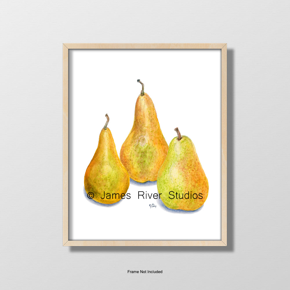 Fruit and Vegetable Prints Set of 4