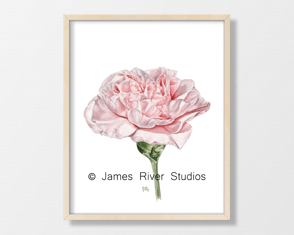 Pink Flower Prints Set of 6
