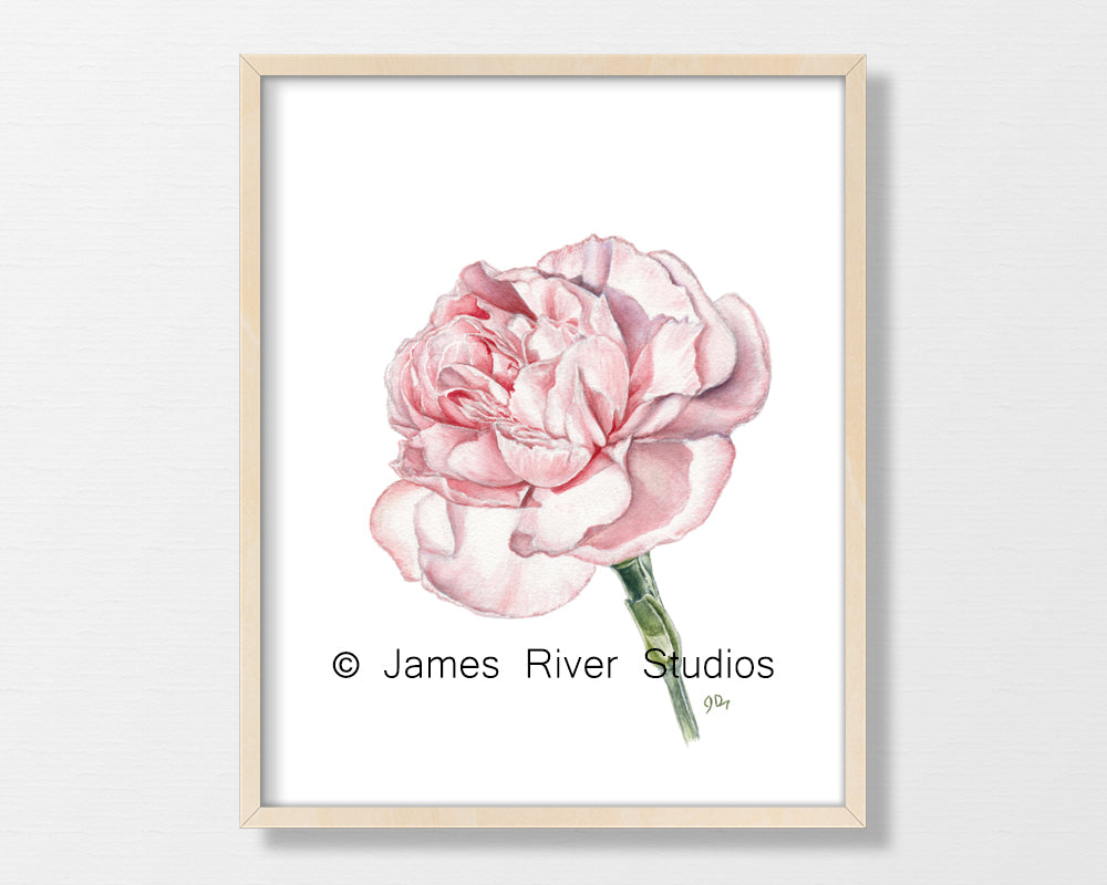 Pink Flower Art Prints Set of 3