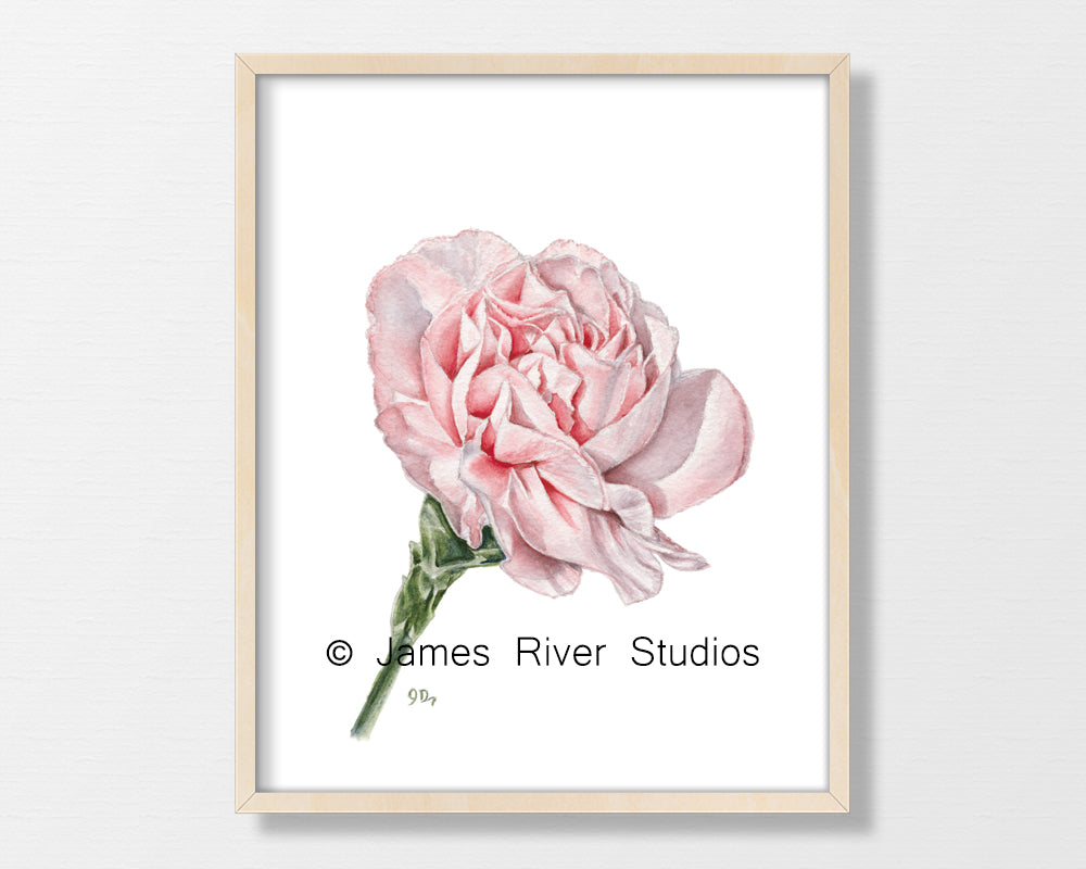 Pink Flower Art Prints Set of 3