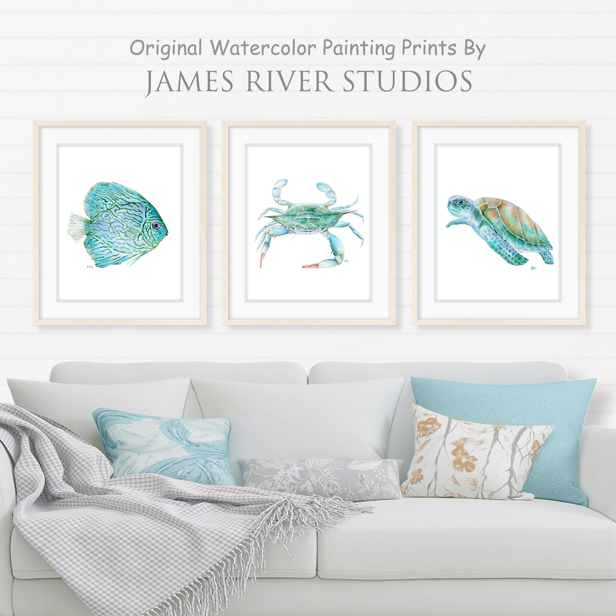 Coastal Beach &amp; Ocean Prints Set of 3