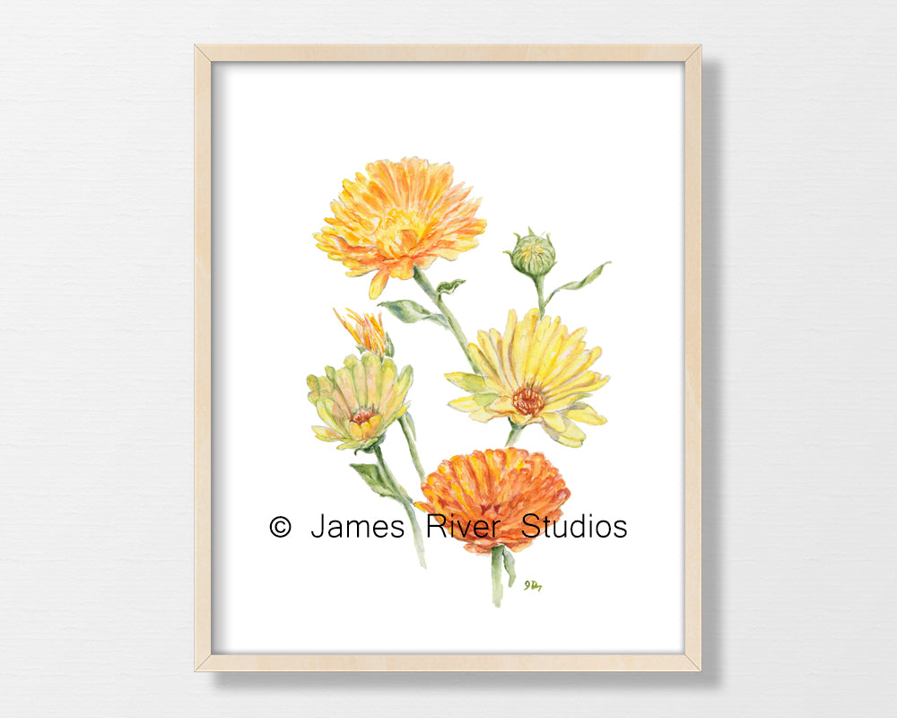 Yellow Flower Prints Set of 3