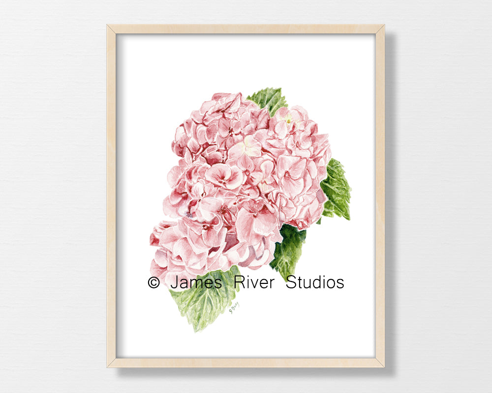 Pink Flower Prints Set of 6