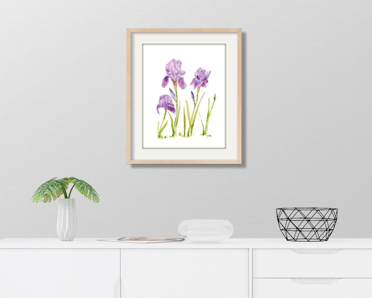 Irises #2 Flower Print