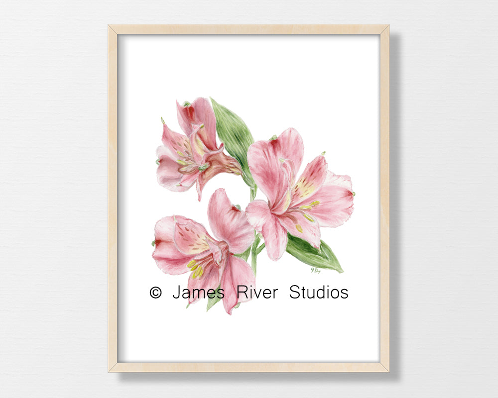 Pink Flowers Prints Set of 3