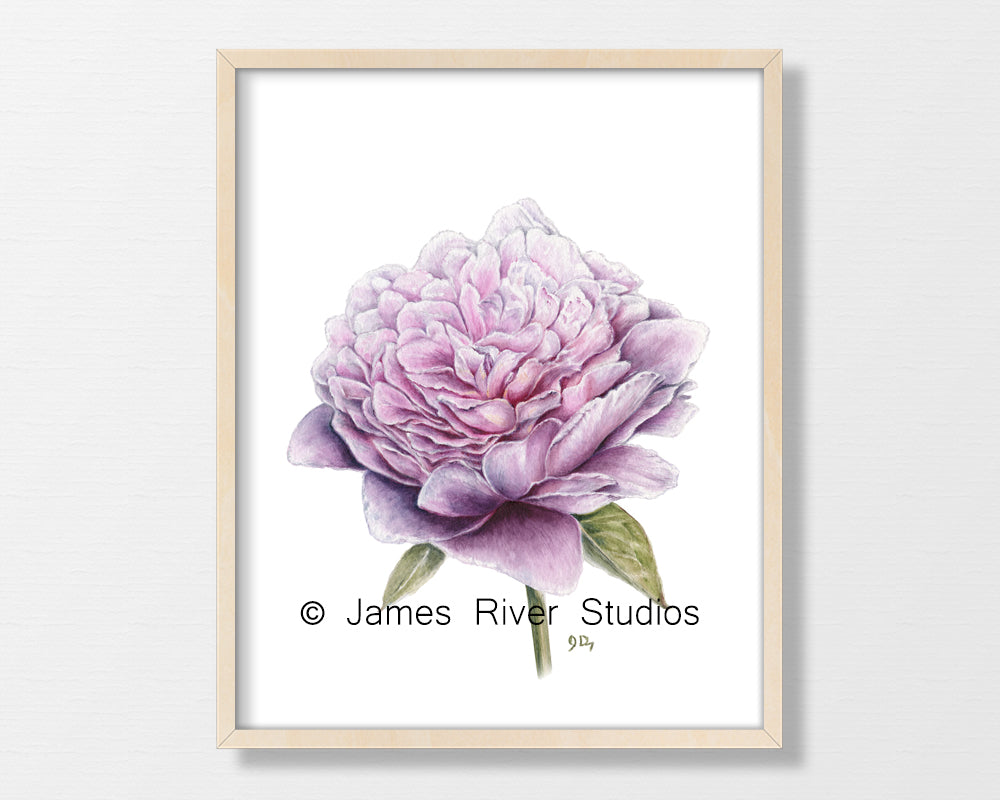 Purple Flower Prints Set of 3