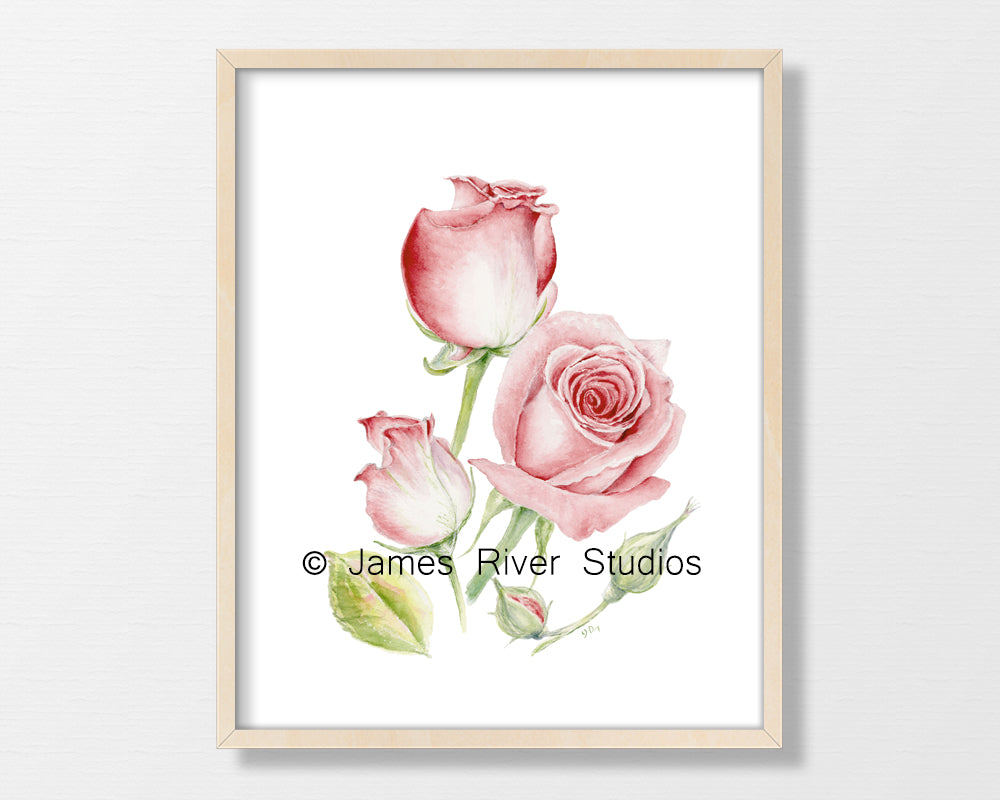 Floral Prints Set of 4